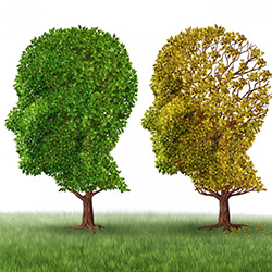 An Elusive Diagnosis – Alzheimer’s (AD)